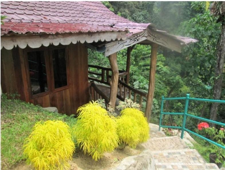 On The Rocks Bungalows, Restaurant And Jungle Trekking Tours Bukit Lawang Eksteriør billede