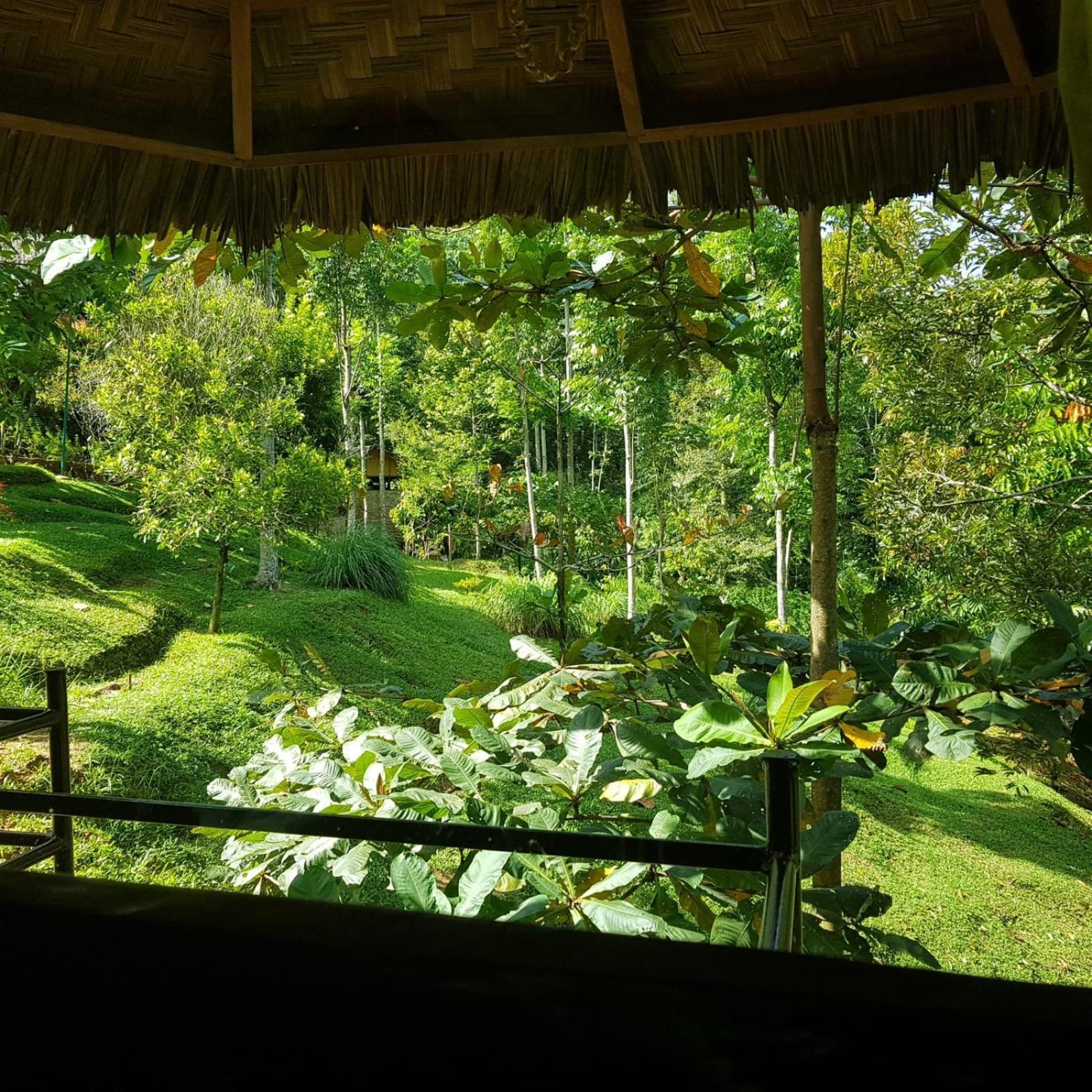 On The Rocks Bungalows, Restaurant And Jungle Trekking Tours Bukit Lawang Eksteriør billede