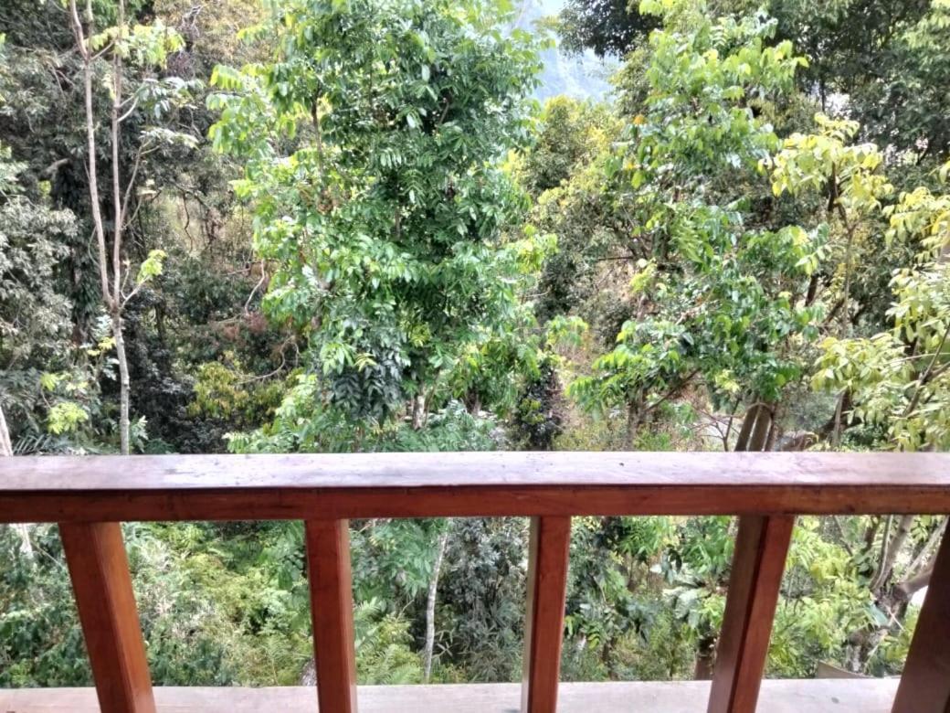 On The Rocks Bungalows, Restaurant And Jungle Trekking Tours Bukit Lawang Eksteriør billede