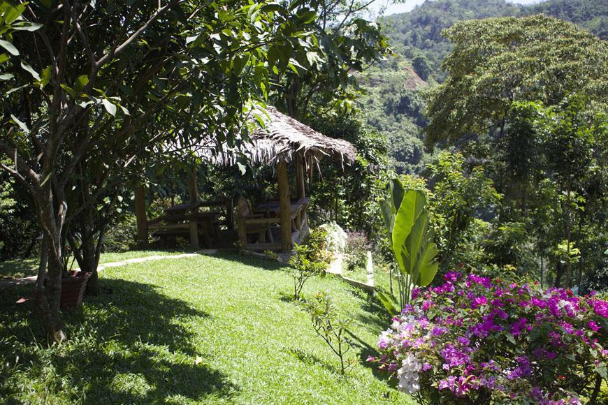 On The Rocks Bungalows, Restaurant And Jungle Trekking Tours Bukit Lawang Eksteriør billede